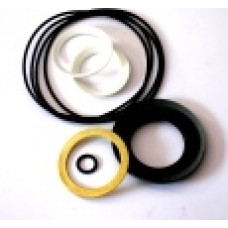 GTI0169	KIT SELLOS P/MOTOR HID. D/GATO ACKER S.S.(025052-69)