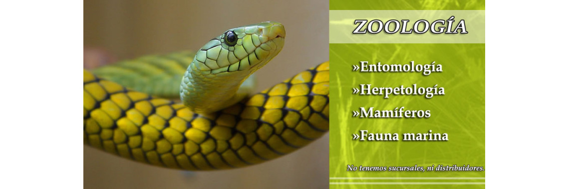Zoologia